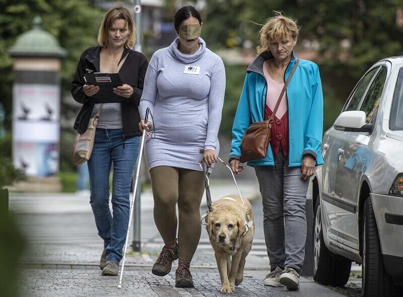 archivní foto